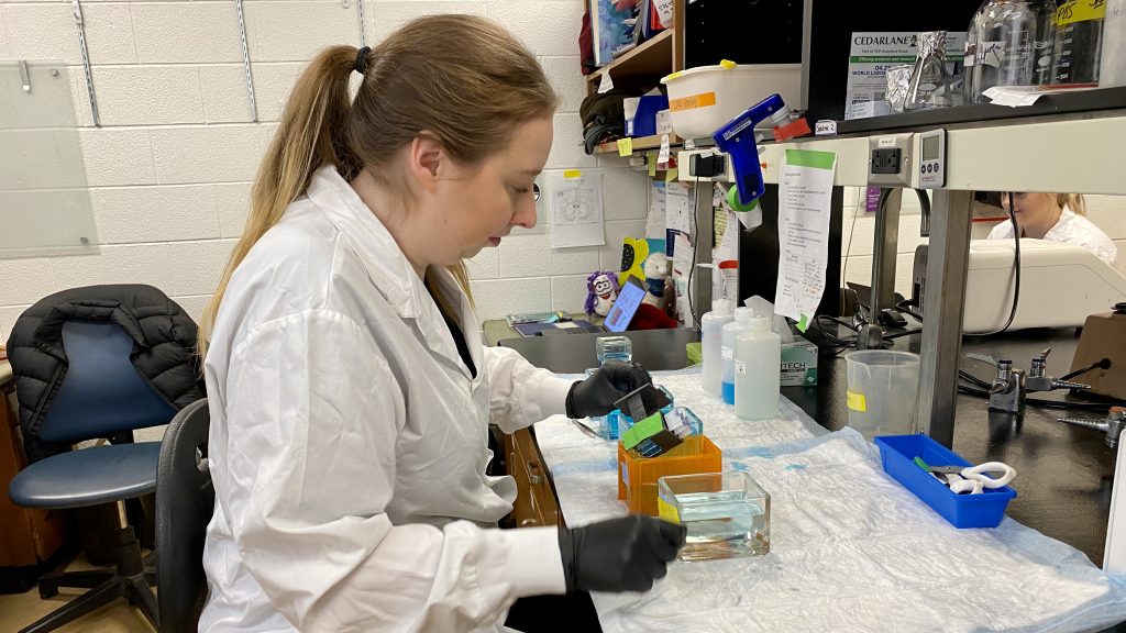 Justine Bajohr in a U of T lab