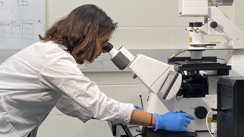 Maryam Faiz in her lab at U of T