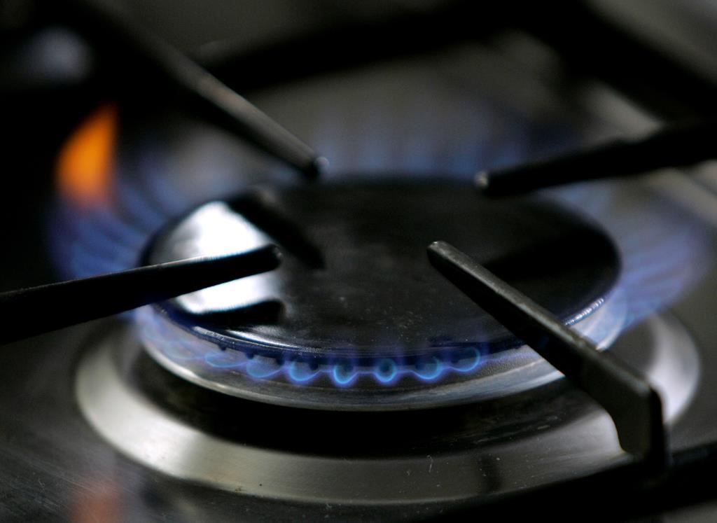 Bye-bye blue flame? NY to require gas-free new buildings