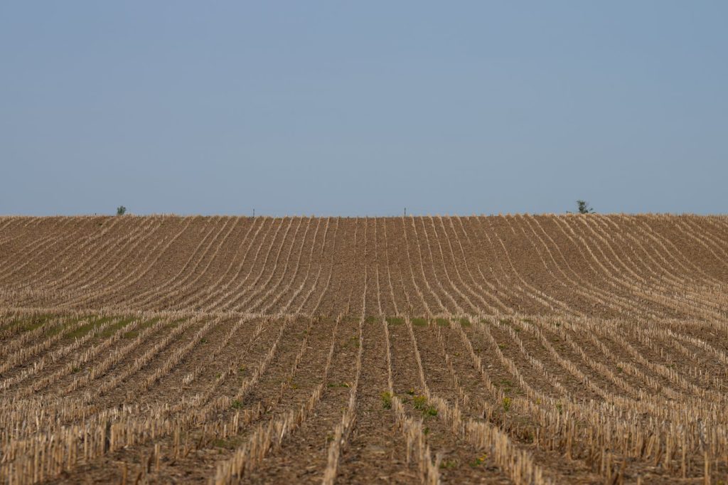 Farmland is seen in the Duffins Rouge Agricultural Preserve.