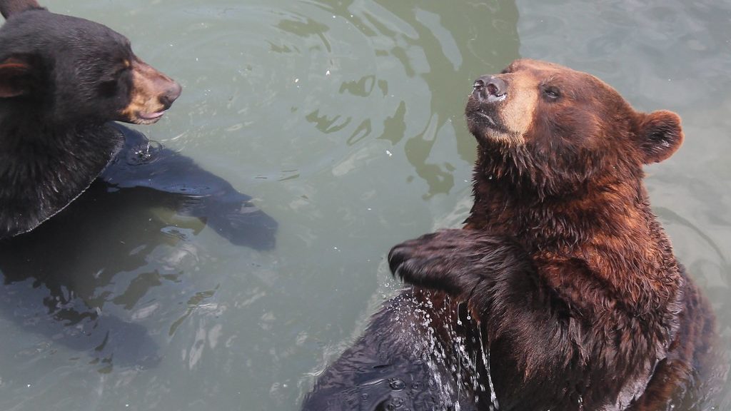 Marineland