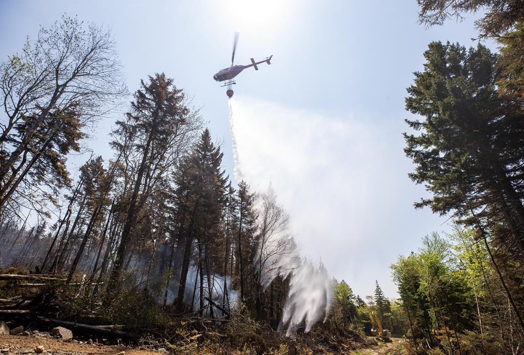 Halifax-area residents board buses to view dozens of homes destroyed by wildfires