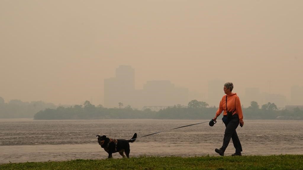 wildfire smoke