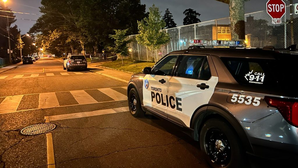 Toronto police are investigating after a man was reportedly attacked with a hammer near Donlands station.