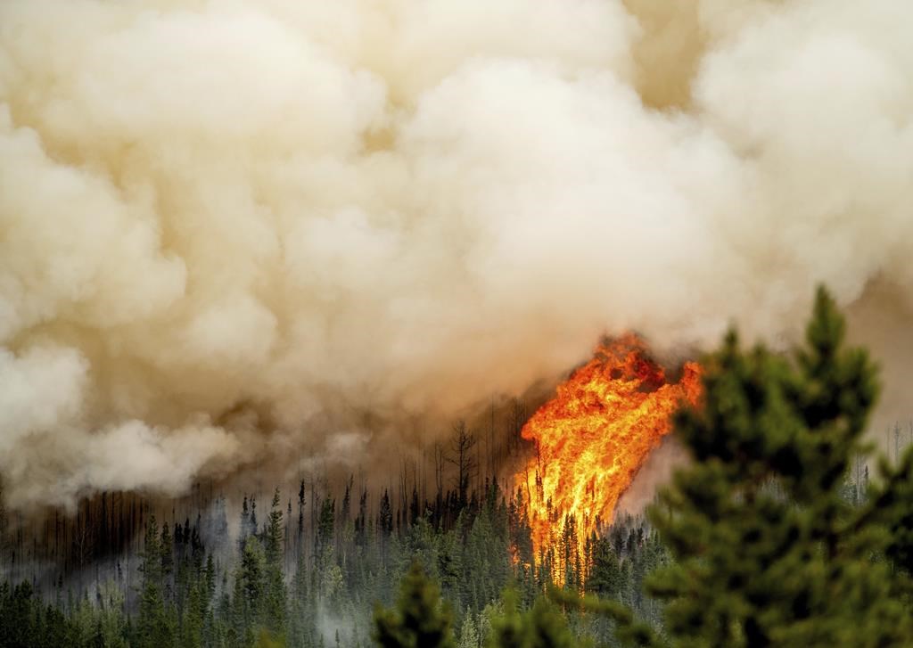 Firefighter Killed While Battling Donnie Creek Wildfire In B.C.