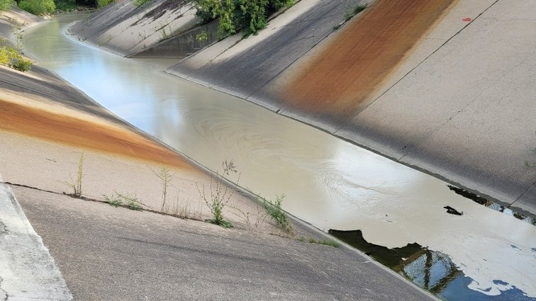 Contamination is seen in Mimico Creek