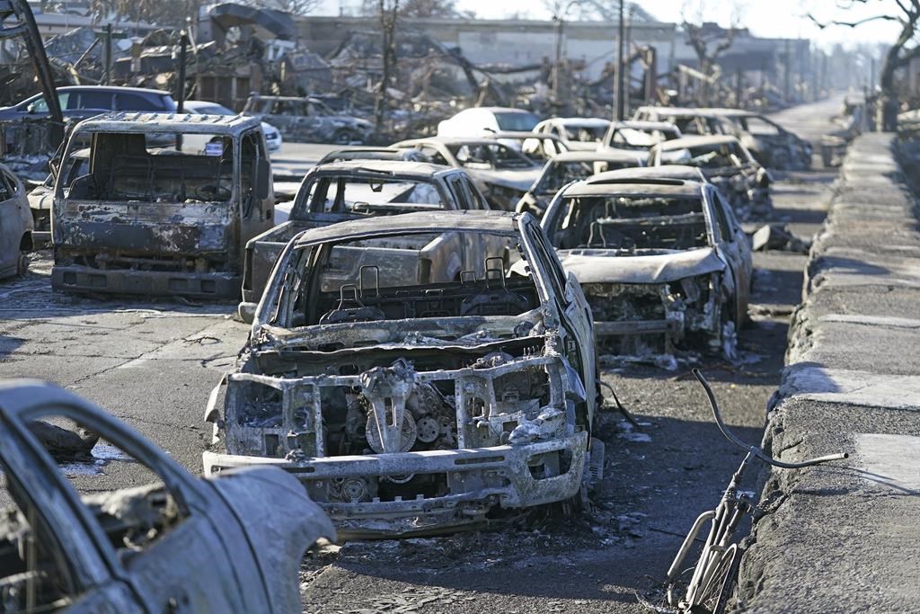 Burnt out cars line the sea walk