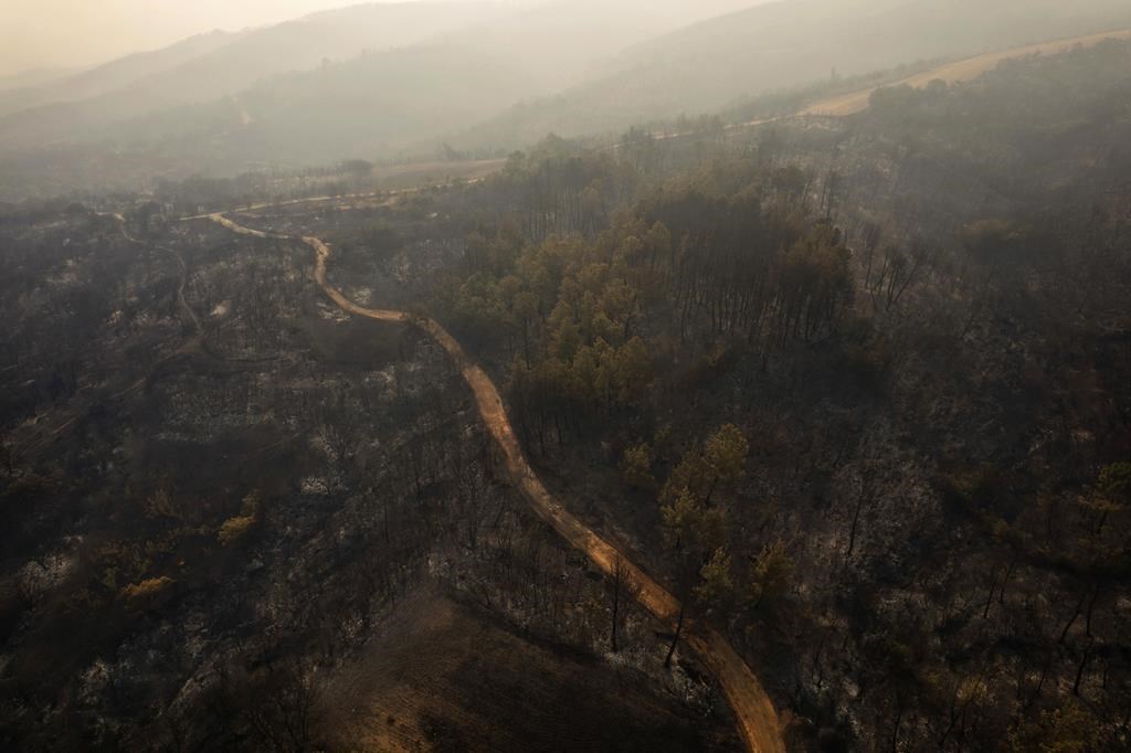 Firefighters in Greece struggle to control wildfires, including the EU's largest blaze