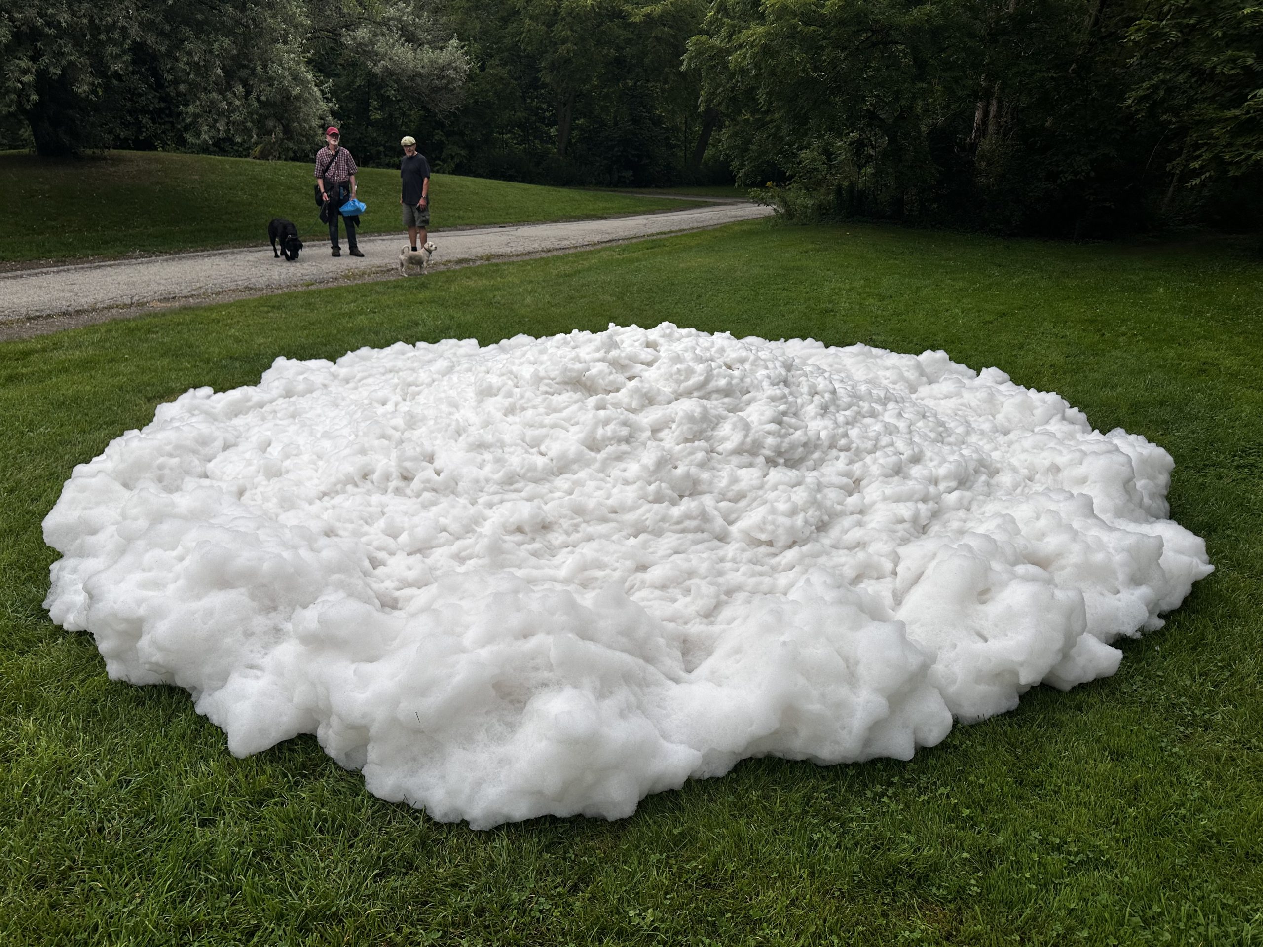 Foam blob North York