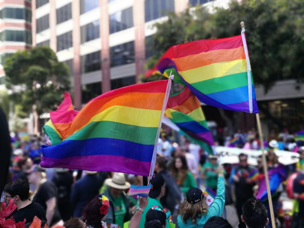 people holding flags during daytime