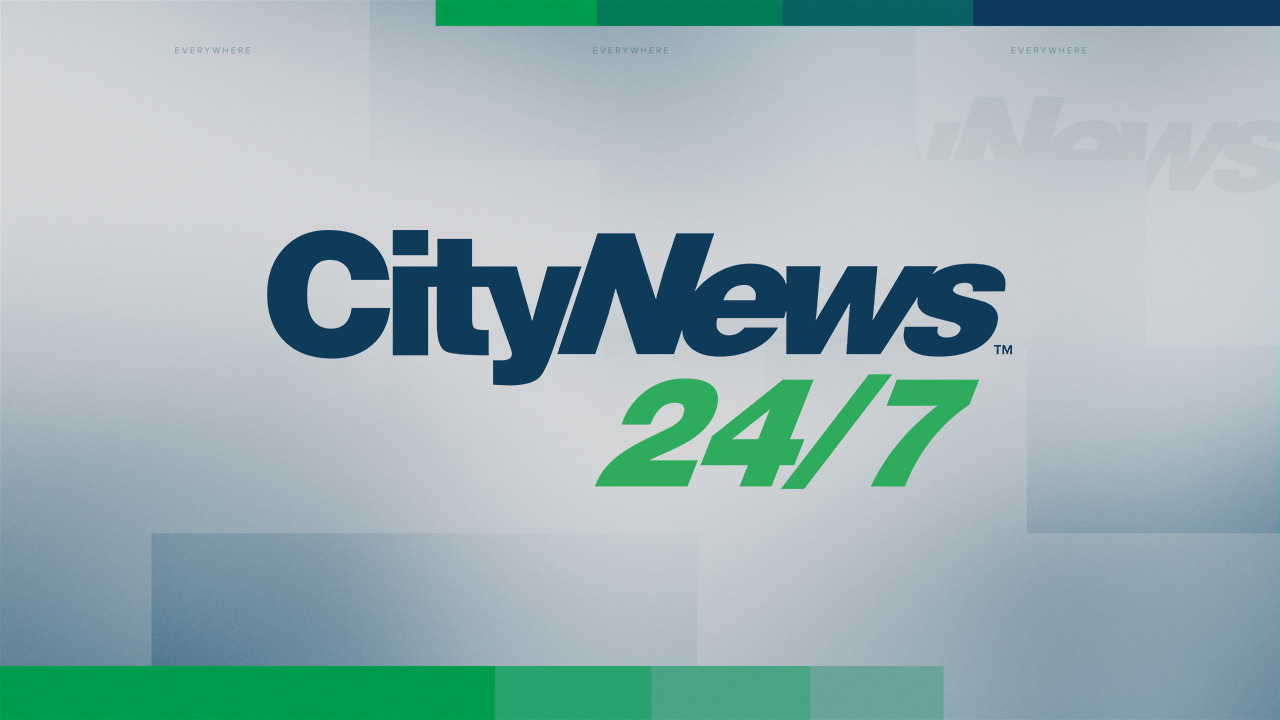 toronto.citynews.ca