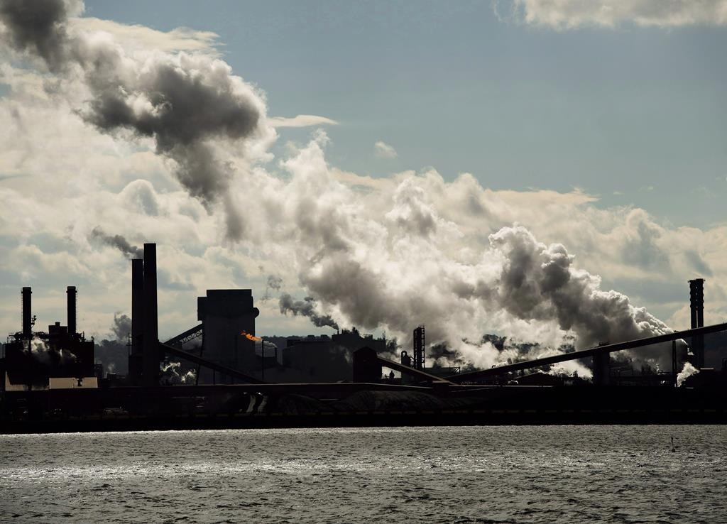 Carbon pricing in Canada: What it is, what it costs and why you get a rebate