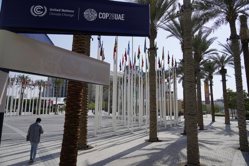 As Dubai prepares for COP28, some world leaders signal they won't attend climate talks
