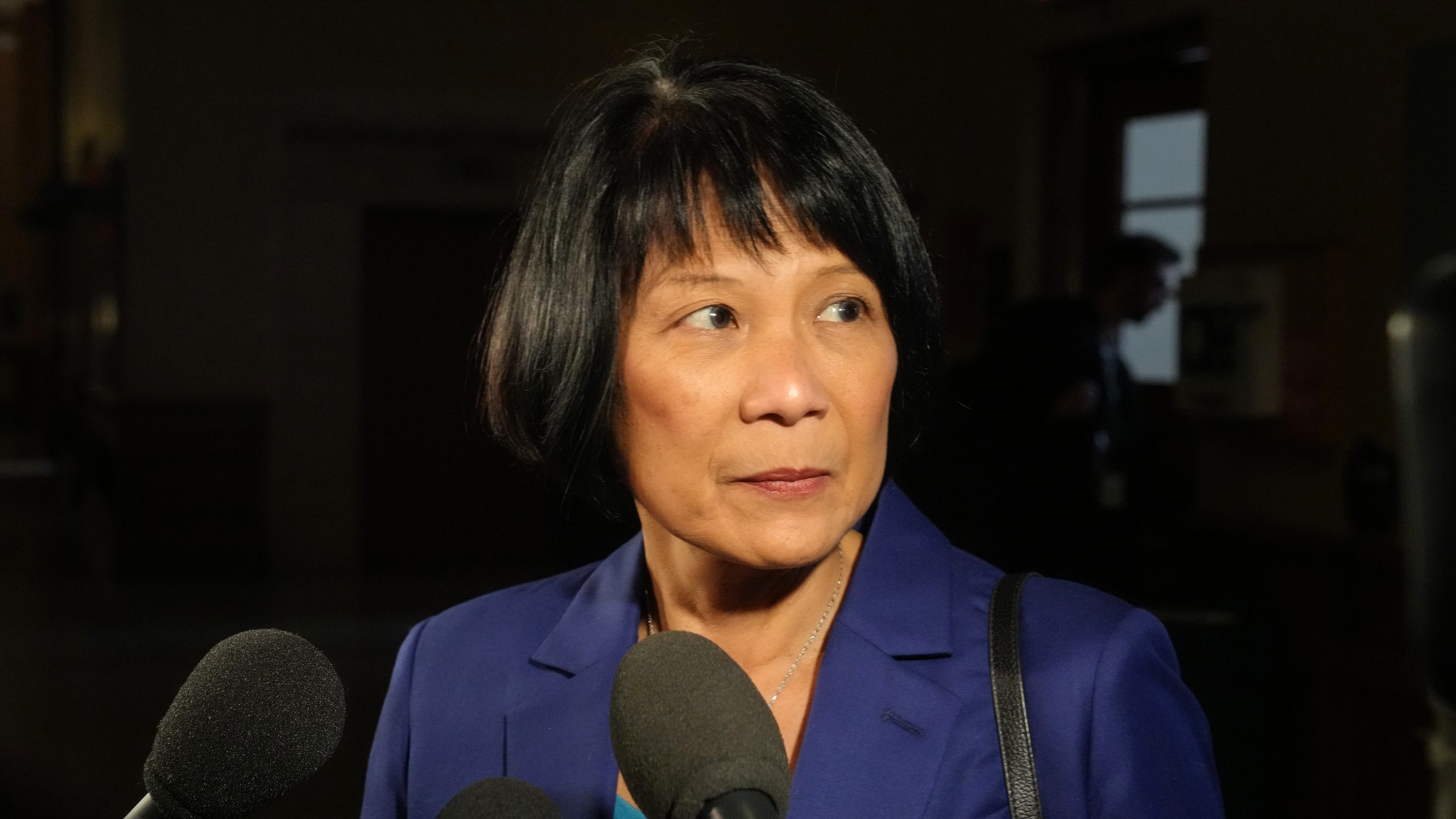 多伦多市长Olivia Chow与Doug Ford达成协议，修复破损的城市并向渥太华施压