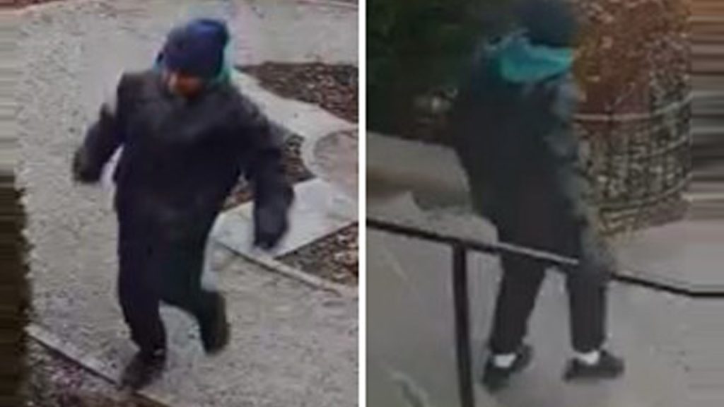 Female suspect wanted in attempted abduction in the Annex area of the city