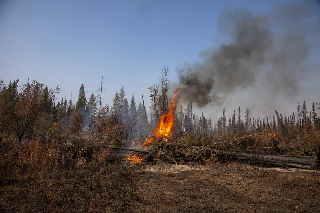 Canada To Pilot Options For National Emergency Response Agency In 2024   20231214151236 657b67eed4c77c2071b4875ajpeg 