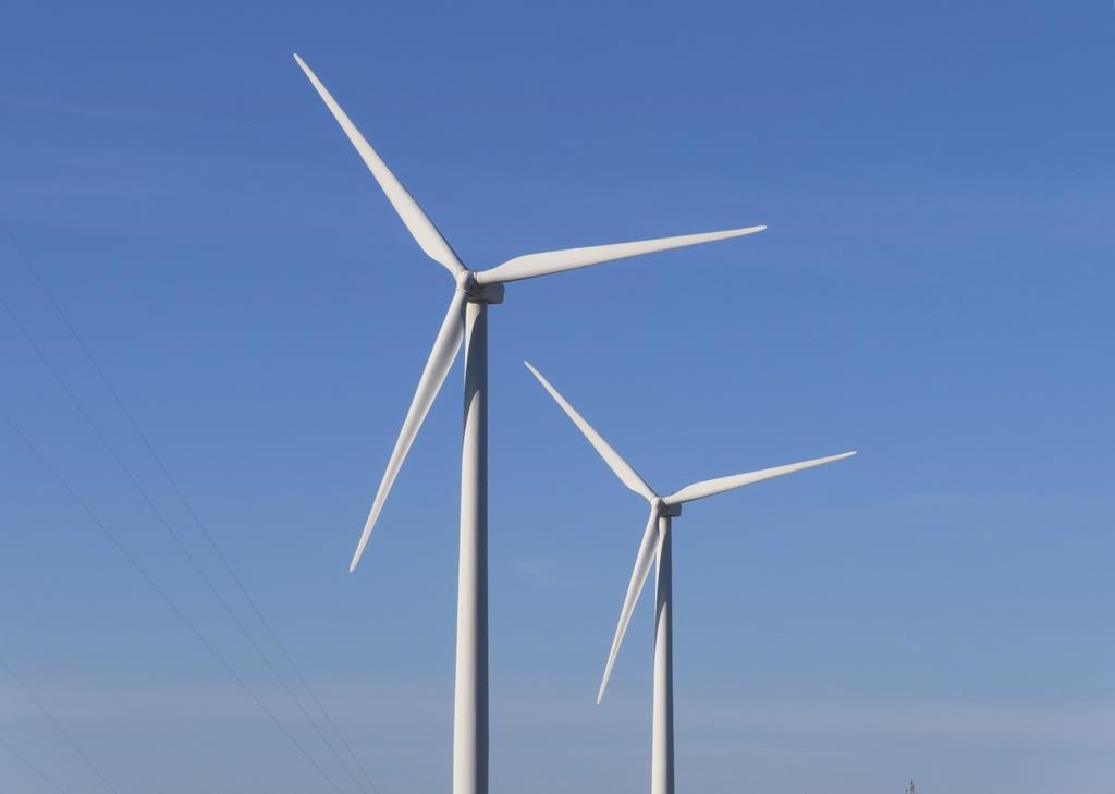 Wind Farm Off New Jersey Likely To ‘adversely Affect’ But Not Kill ...