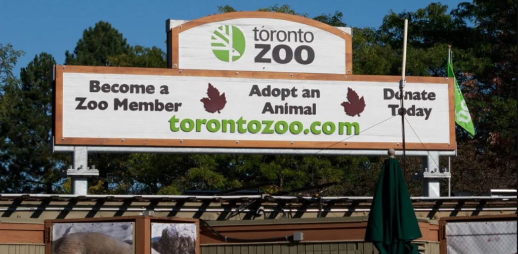 Toronto Zoo opens after brief delay