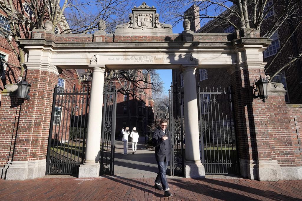 Harvard Collegiate Jogger – The Harvard Shop
