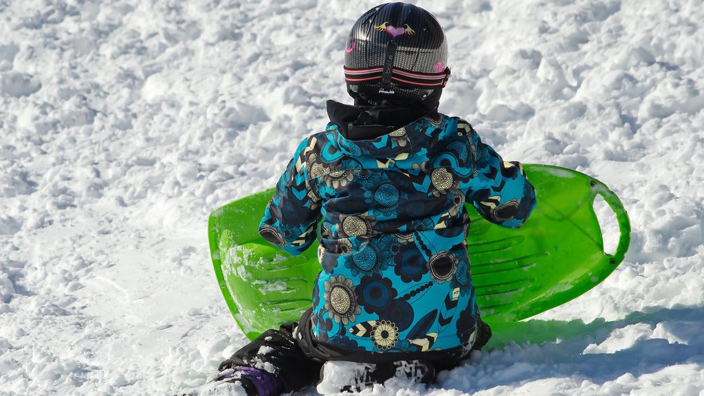 市议会将对取消多伦多有争议的禁止乘雪橇投票