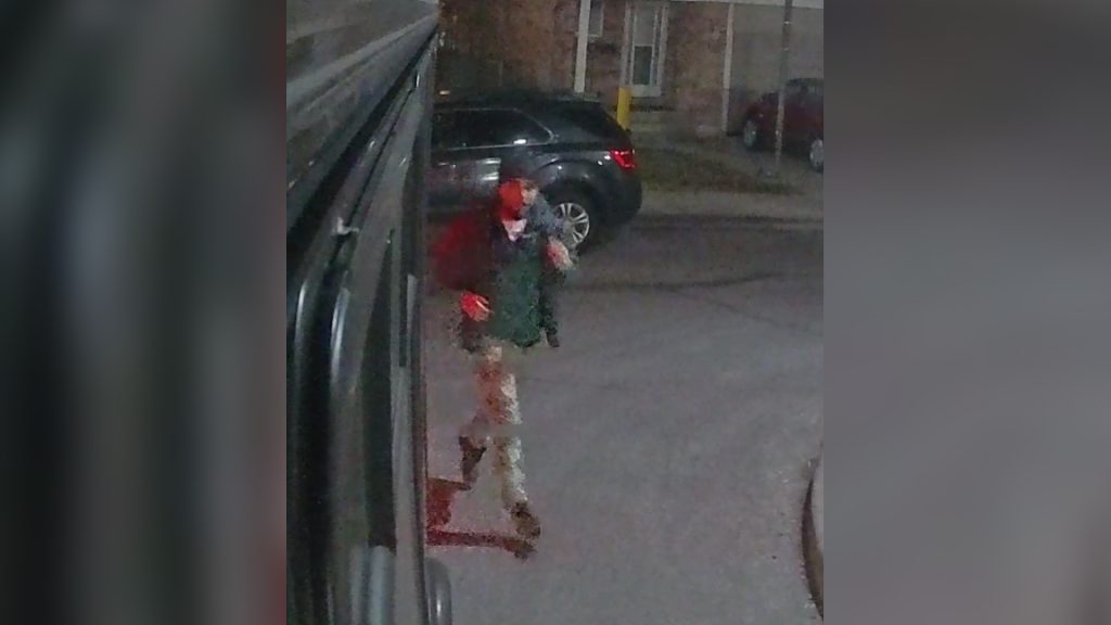 Woman left with life-altering injuries after reported dog attacks in Etobicoke