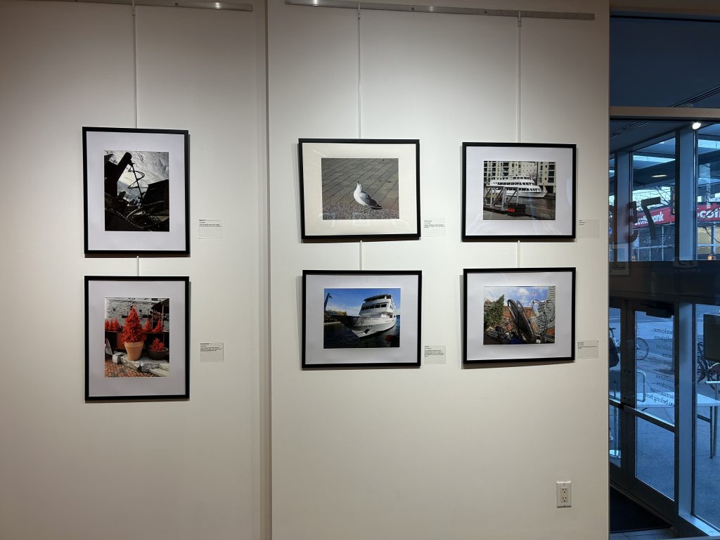 Gallery opening for photographs taken by participants of the Disability Visibility Photography program at the Miles Nadal Jewish Community Centre. 