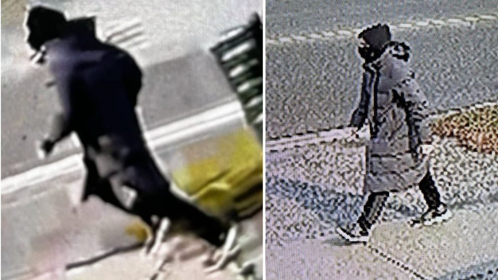Suspect sought after woman shot in the face in brazen daytime attack