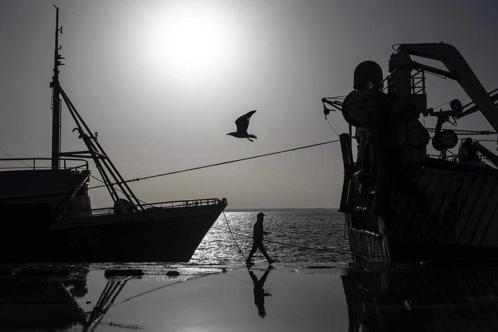 EU legal adviser backs cancellation of EU-Morocco fishing agreement over disputed Western Sahara