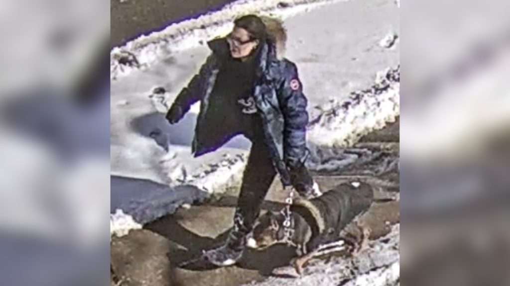 Photo of a woman and her dog wanted by police after a child was attacked in a downtown Toronto park