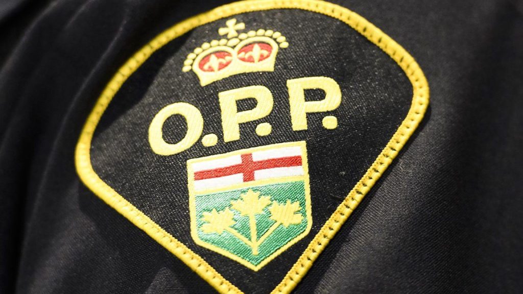 Woodbridge pair charged for allegedly obtaining COVID-19 relief funding