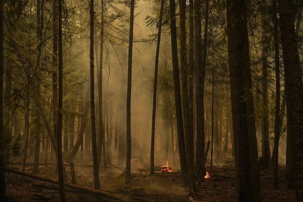 Hot spots from the Lower East Adams Lake wildfire burn in Scotch Creek, B.C., on Aug. 20, 2023