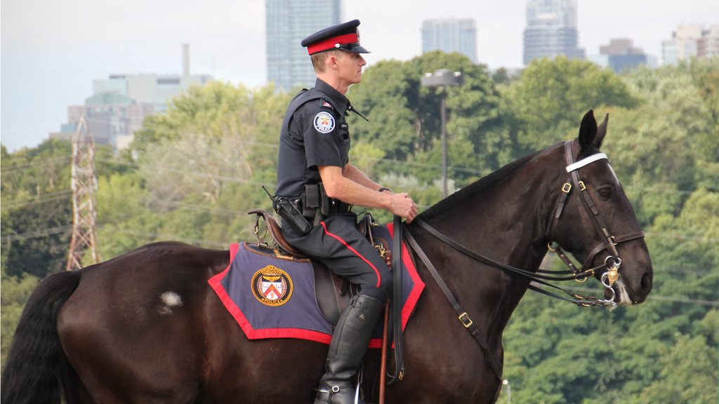 Woman charged for striking police horse with flagpole during Toronto demonstration