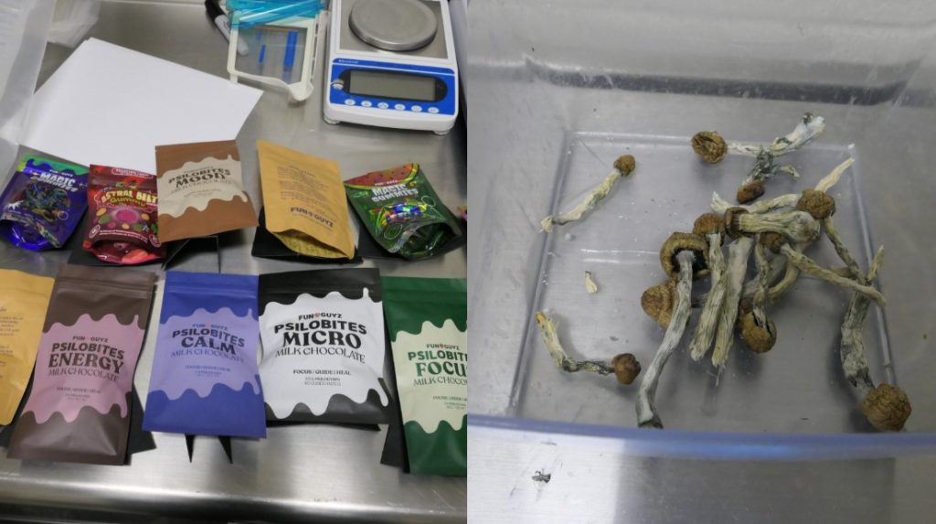 Over $63K in magic mushrooms seized from illegal Richmond Hill shop