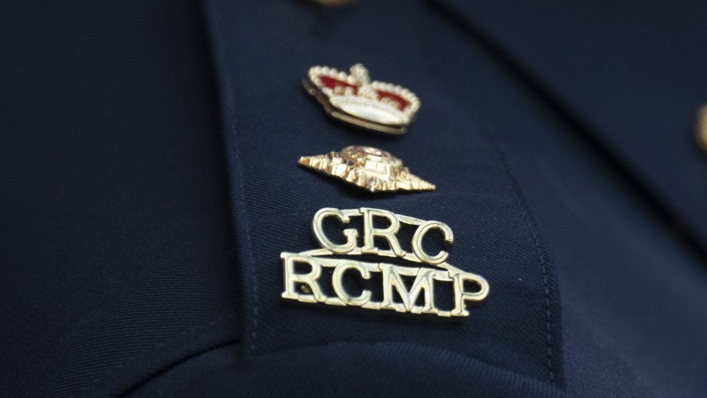 4 arrested, 4 more sought in alleged migrant smuggling ring: RCMP