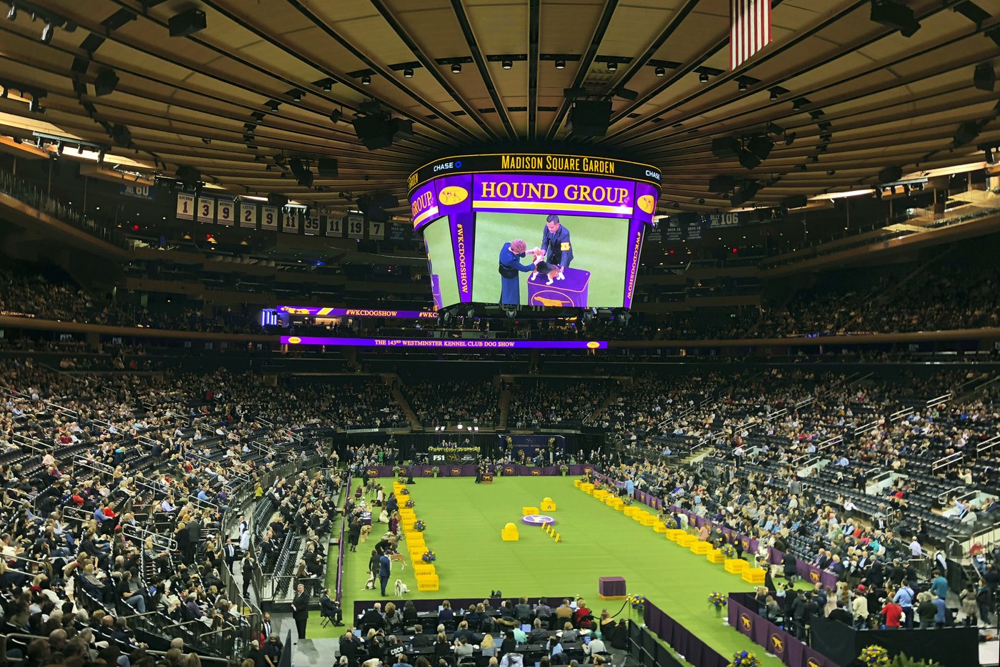 Westminster Dog Show arena in 2025