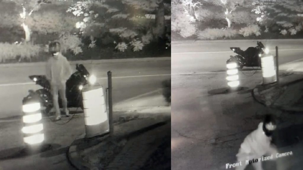 Toronto police investigators released surveillance video images of a suspect wanted in connection with a mischief investigation.