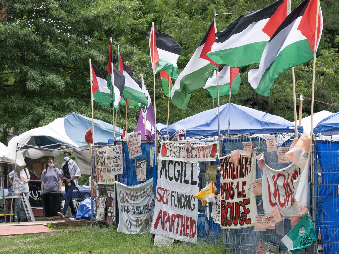 McGill University ending negotiations with pro-Palestinian encampment