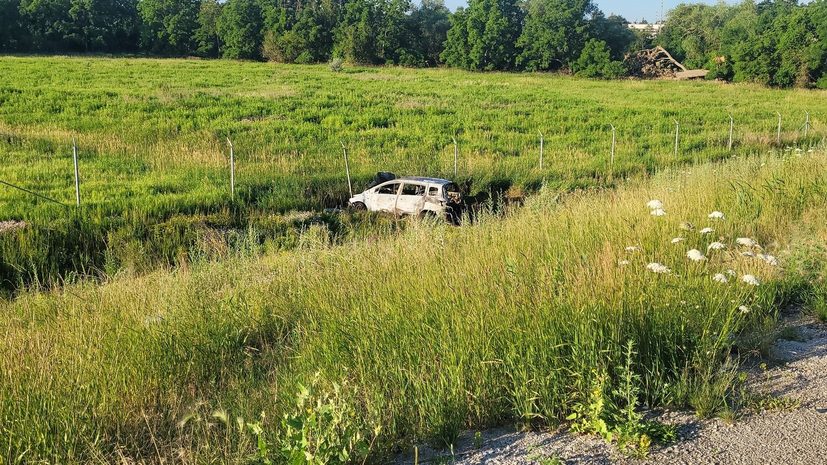 14-year-old crashes parents' car in Mississauga, police say