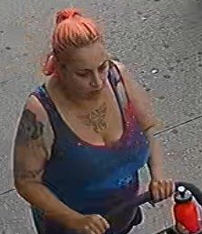 Woman wanted after Toronto police allege young child assaulted while out for walk