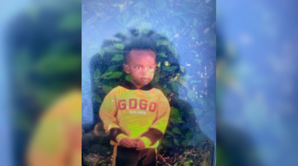 3-year-old vulnerable child missing in Mississauga