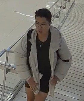Suspect wanted after watch worth $43K stolen from Toronto store, police allege