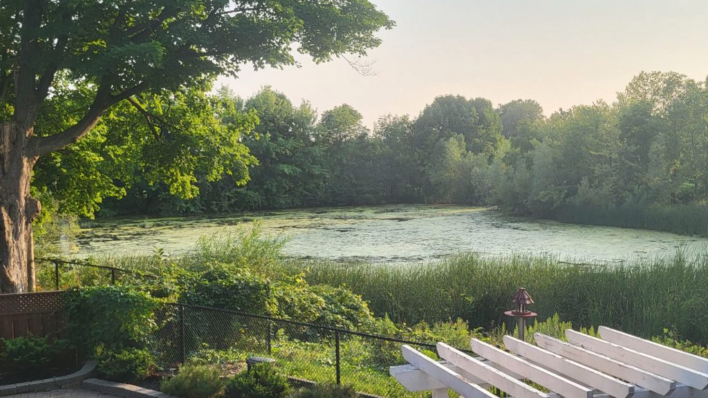 Storm water detention pond causes problems for Mississauga residents