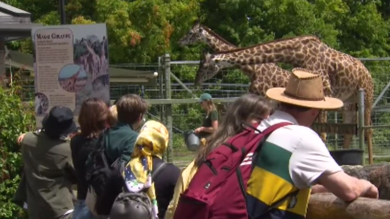 Toronto Zoo kicks off 50th anniversary celebrations