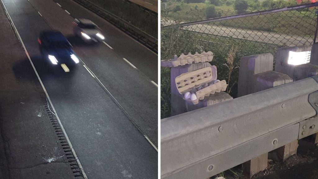 Driver and friends allegedly caught throwing eggs at cars from highway overpass