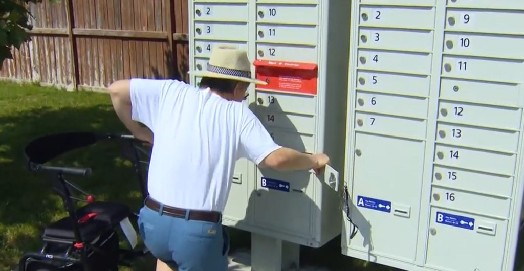 'Getting my mail is a life risking task': Disabled man calls out Canada Post