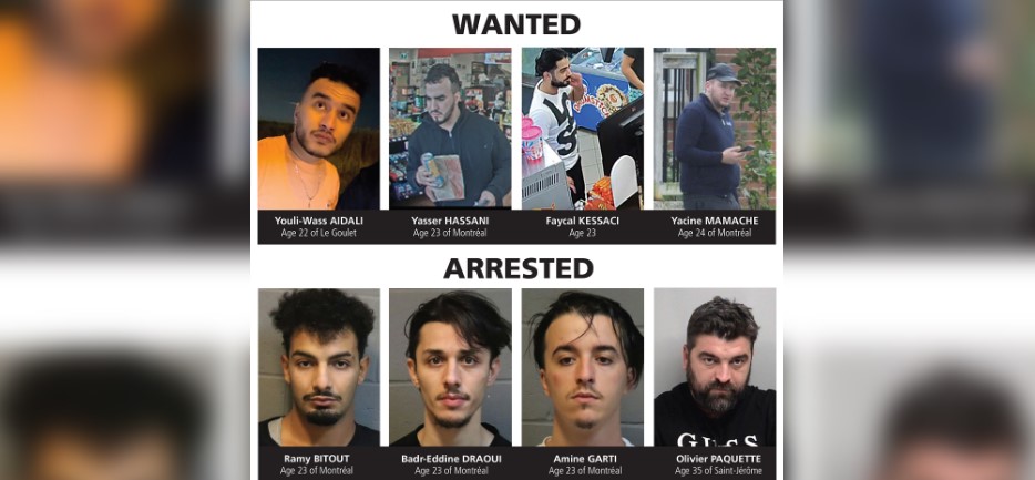 Halton police alleged Algerian nationals linked to GTA auto thefts, others wanted