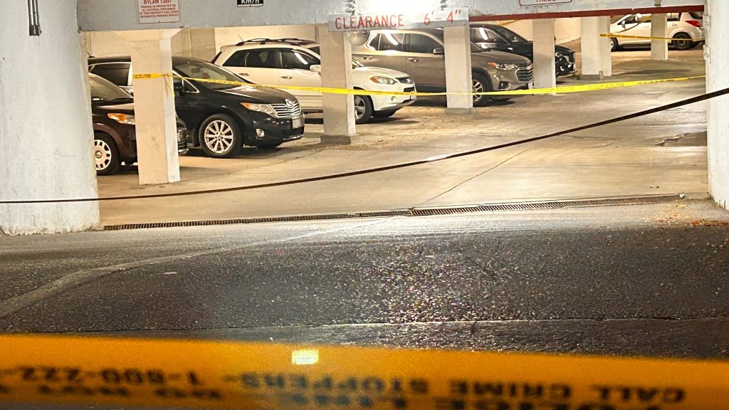 Man found dead following stabbing in Scarborough