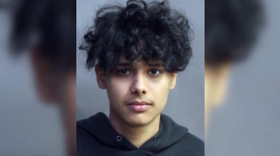 18-year-old wanted for operating stolen vehicles, speeding away from Toronto police