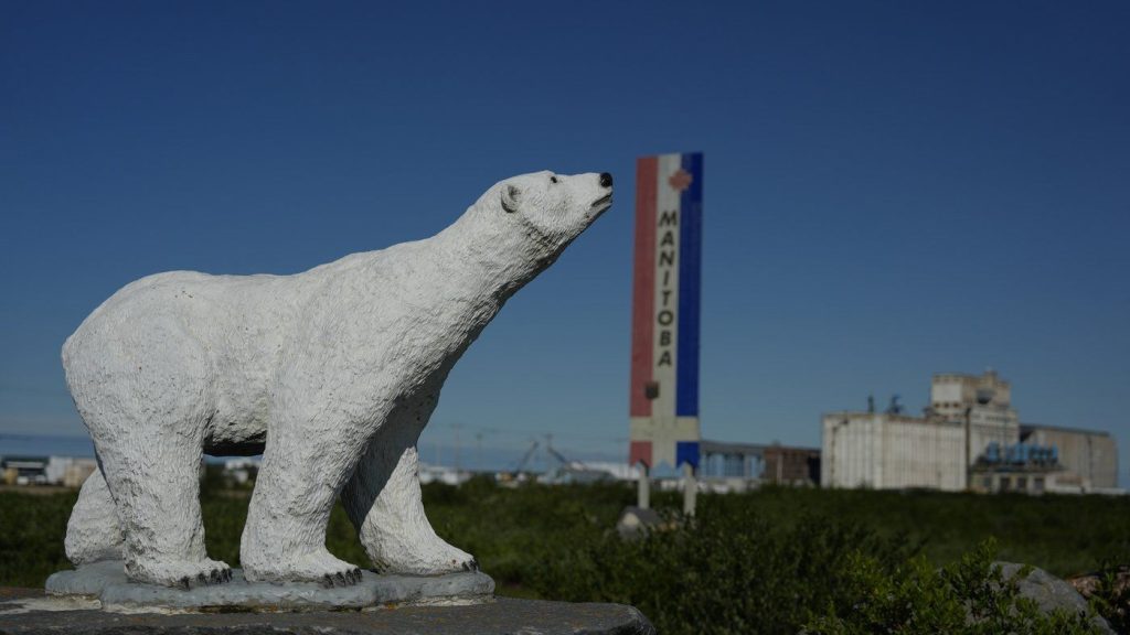 A polar bear statue stands near a road,