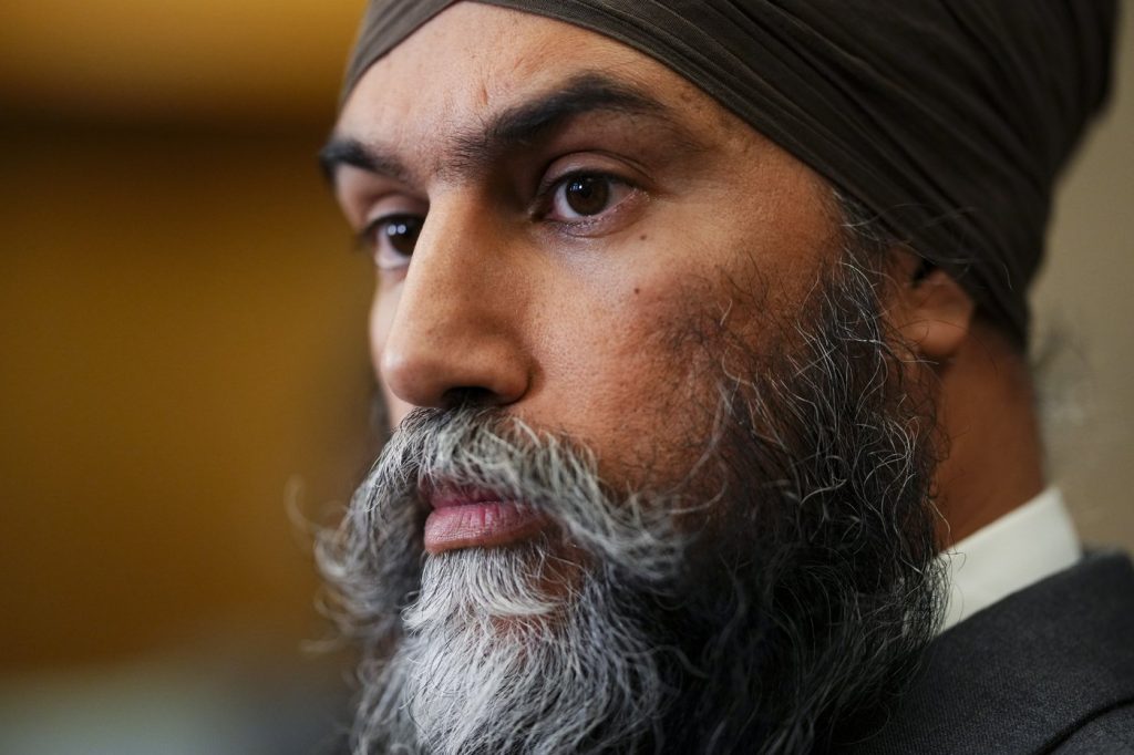 NDP won’t support Liberal $250 rebate plan unless eligibility expanded: Singh